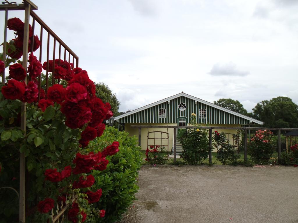 Hof Brooks Appartement Bosau Buitenkant foto